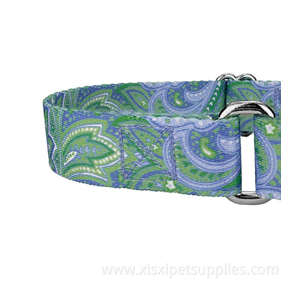 High quality Sublimation Printing Martingale Dog Collar with custom design